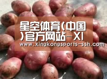 产品展示标题5