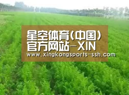 种植基地四