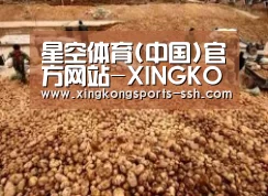 种植基地二