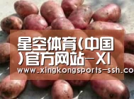 产品展示标题5(图1)