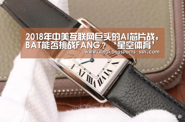2018年中美互联网巨头的AI芯片战,BAT能否挑战FANG?‘星空体育’(图1) 星空体育官网