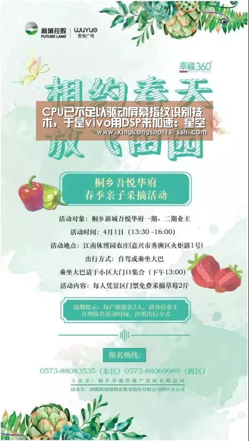 CPU已不足以驱动屏幕指纹识别技术,于是vivo用DSP来加速:星空体育官网(图2) 星空体育