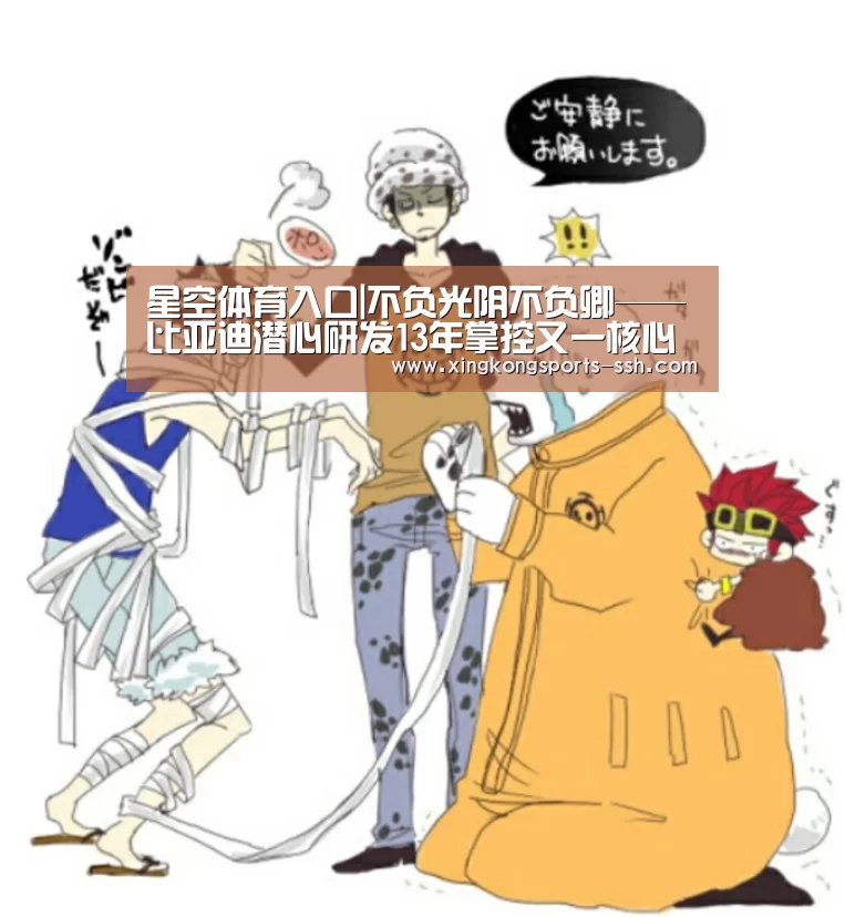 星空体育入口|不负光阴不负卿——比亚迪潜心研发13年掌控又一核心技术(图3) 星空体育官网
