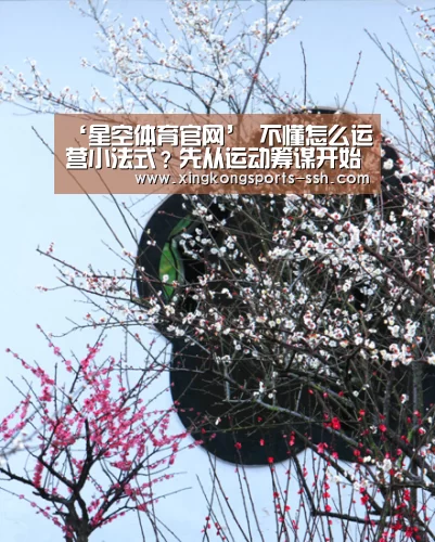 星空体育官网